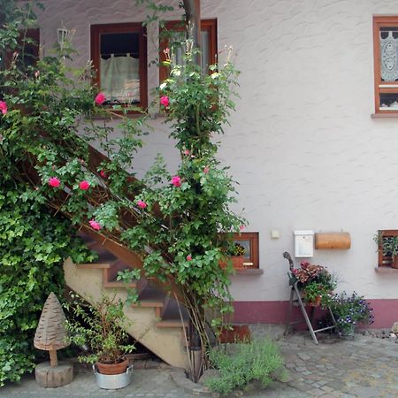 Haus Am Bergli Διαμέρισμα Herbolzheim Εξωτερικό φωτογραφία