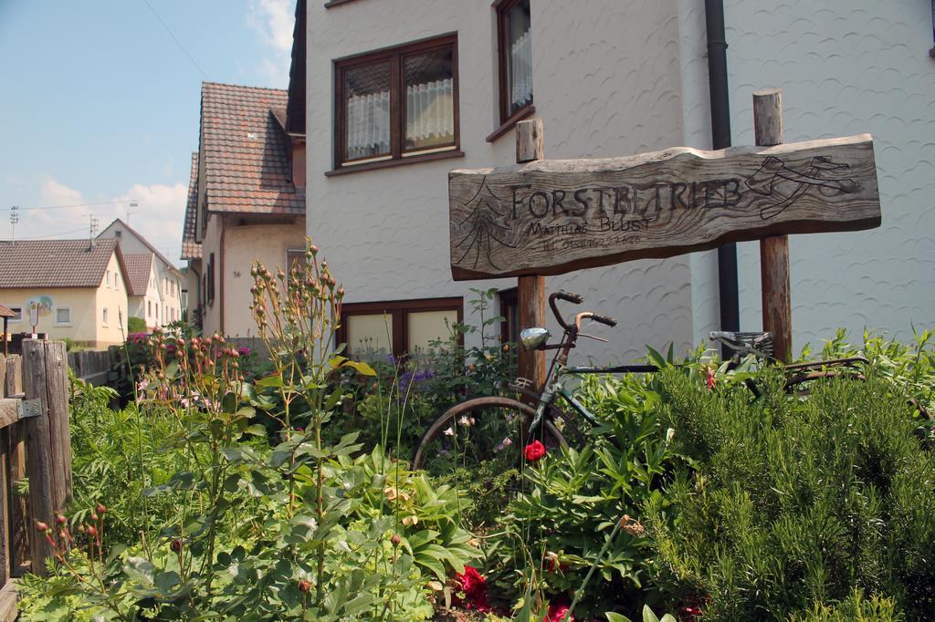 Haus Am Bergli Διαμέρισμα Herbolzheim Δωμάτιο φωτογραφία