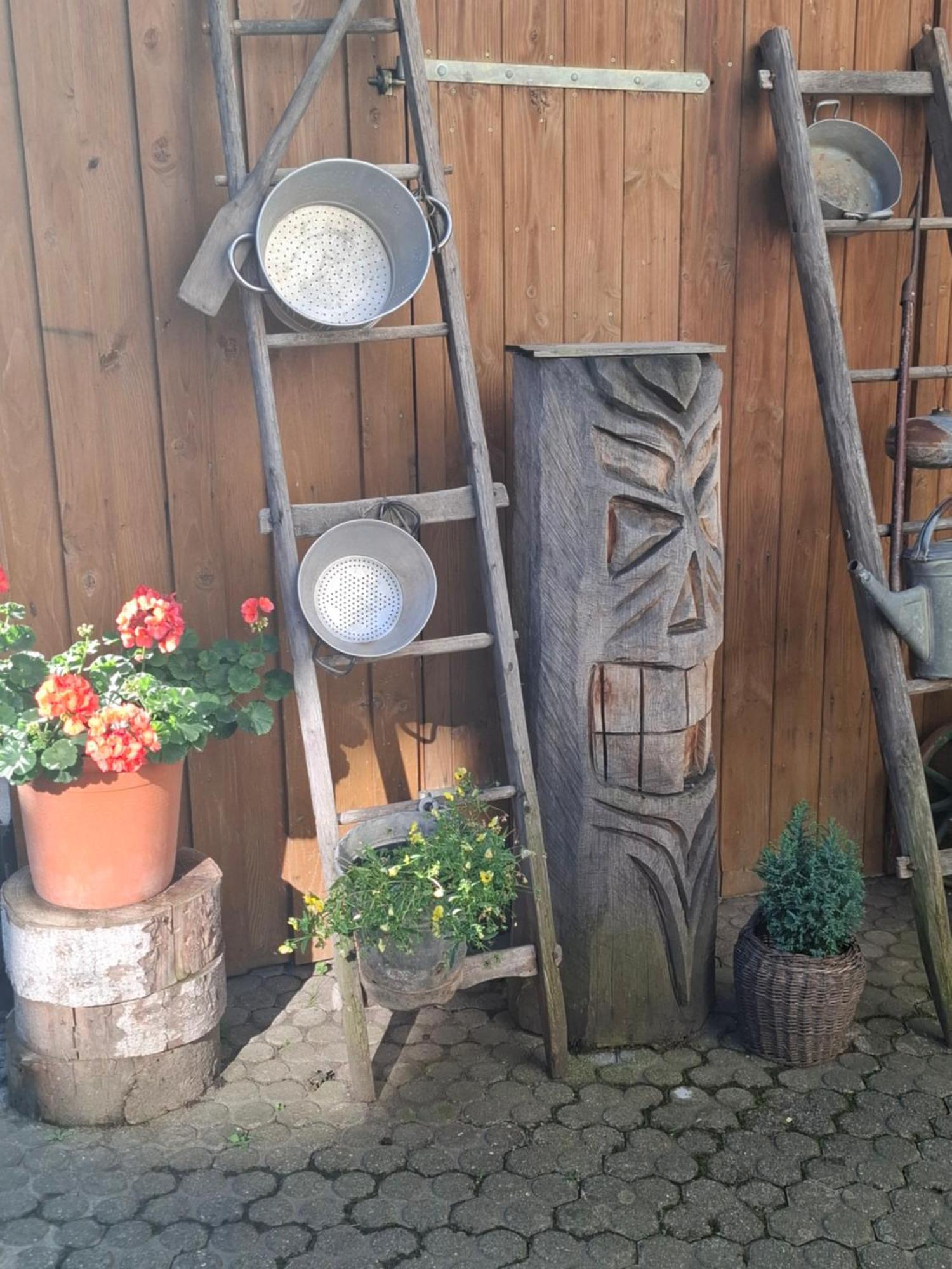 Haus Am Bergli Διαμέρισμα Herbolzheim Εξωτερικό φωτογραφία