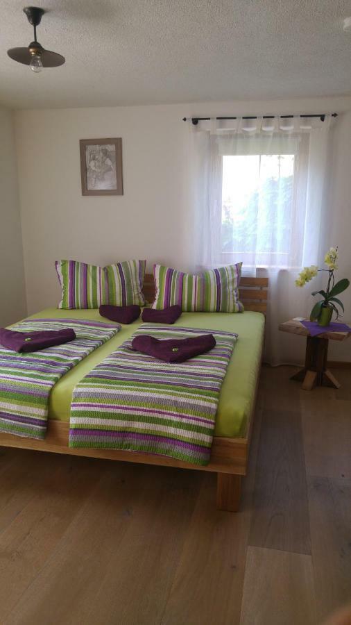 Haus Am Bergli Διαμέρισμα Herbolzheim Εξωτερικό φωτογραφία